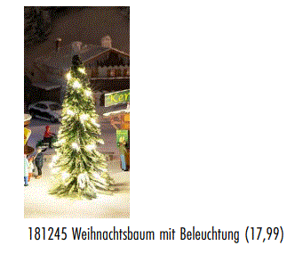 2023_Faller_181245_Weihnachtsbaum